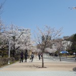 20170407_122800