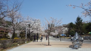 20170407_122800